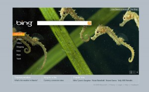 Page d'accueil de Microsoft Bing